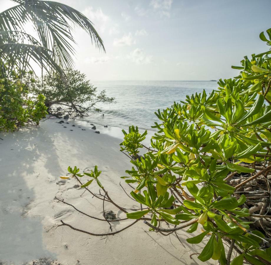 Portia Hotel&Spa Dhiffushi Exteriér fotografie
